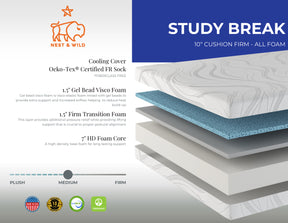 Study Break 10" Foam